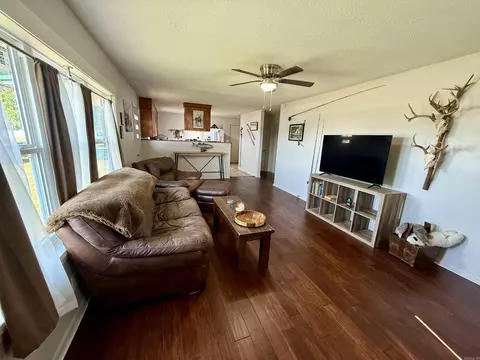 1295 W Main St, Cotter, AR 72626 photo 8