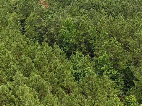 000 Hwy 82, Strong, AR 71765 photo 18