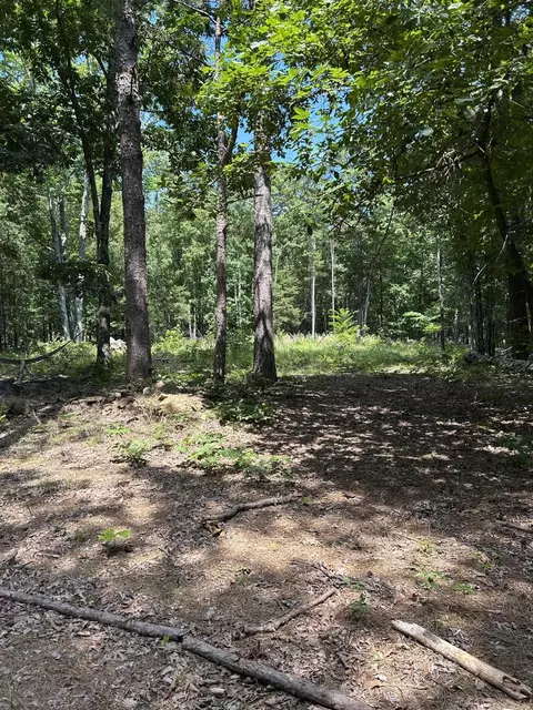 618 Keystone Rd, Shirley, AR 72153 photo 2