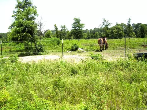 138 Little River 183, Ashdown, AR 71822 photo 10
