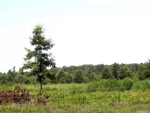 138 Little River 183, Ashdown, AR 71822 photo 14