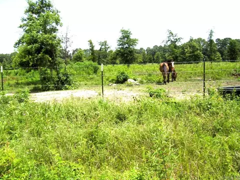 138 Little River 183, Ashdown, AR 71822 photo 15