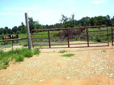 138 Little River 183, Ashdown, AR 71822 photo 6