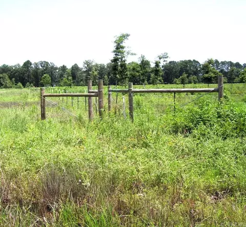 138 Little River 183, Ashdown, AR 71822 photo 7