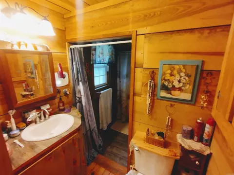 Bath - 531 Flat Rock Rd, Mountain View, AR 72560 photo 3 of 3