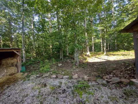 Exterior - 531 Flat Rock Rd, Mountain View, AR 72560 photo 7 of 16