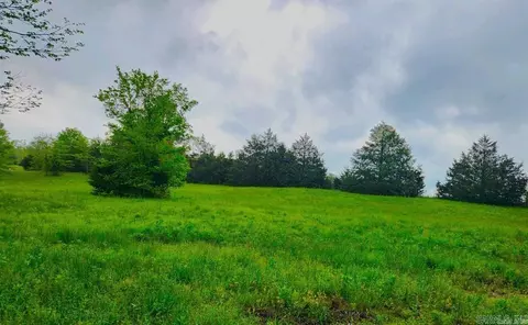 2132 Easy K Rd, Sage, AR 72573 photo 4