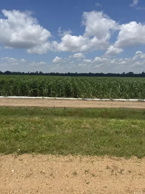 0000 Cr 876, Caraway, AR 72419