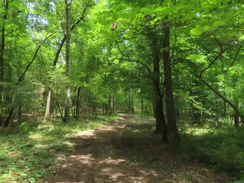 15 Acres Sidell Rd, Benton, AR 72015 photo 11