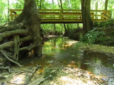 15 Acres Sidell Rd, Benton, AR 72015 photo 13
