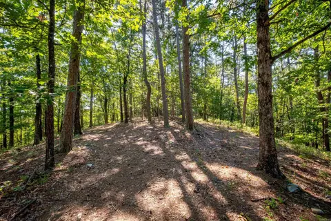 0 Burlingame Rd, Little Rock, AR 72223