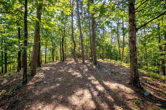 0 Burlingame Rd, Little Rock, AR 72223