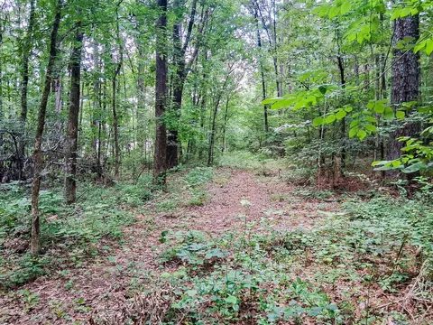 Hensley Loop, Hensley, AR 72065 photo 3