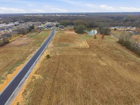 41 Crescent Cv, Ward, AR 72176 photo 7