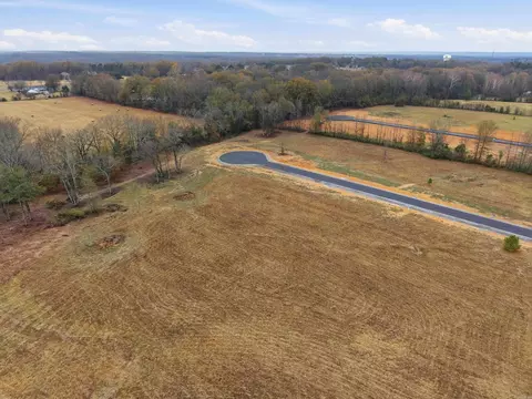 41 Crescent Cv, Ward, AR 72176 photo 9
