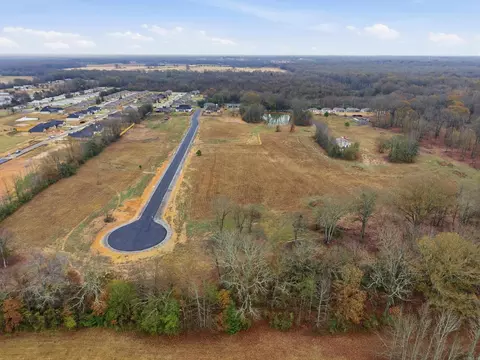 41 Crescent Cv, Ward, AR 72176 photo 15