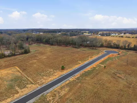 41 Crescent Cv, Ward, AR 72176 photo 4