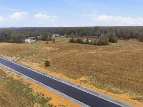41 Crescent Cv, Ward, AR 72176 photo 6