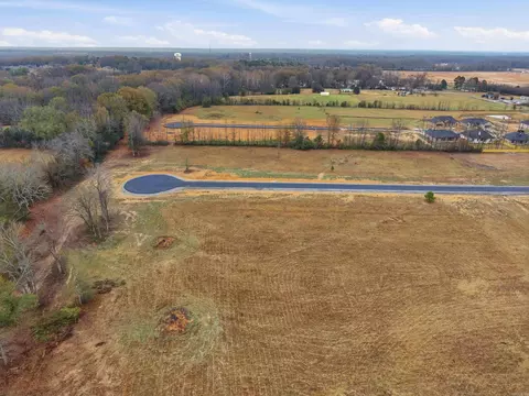 41 Crescent Cv, Ward, AR 72176 photo 10