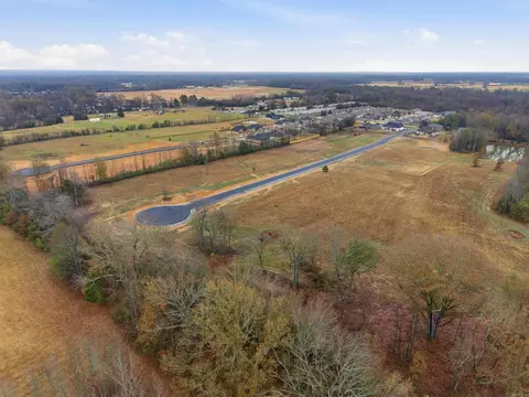 41 Crescent Cv, Ward, AR 72176 photo 16