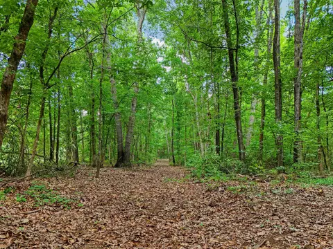 279 Carmichael Rd, Searcy, AR 72143 photo 20