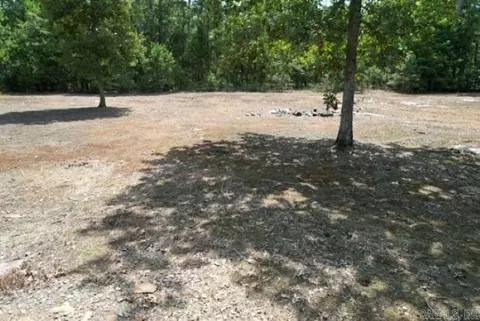 654 Wagon Cir, Higden, AR 72067 photo 10
