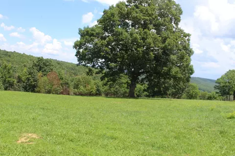 918 Bowith Holw, Marshall, AR 72650 photo 50
