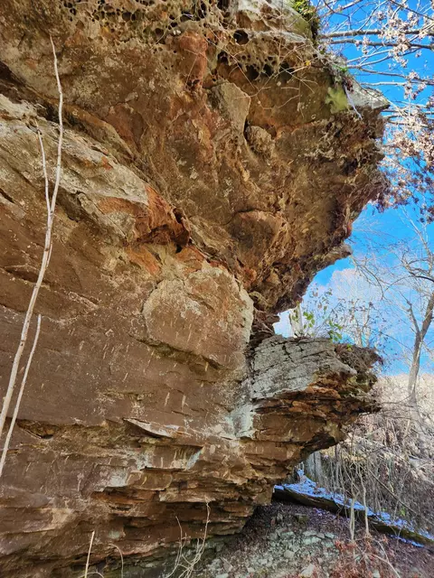 918 Bowith Holw, Marshall, AR 72650 photo 38