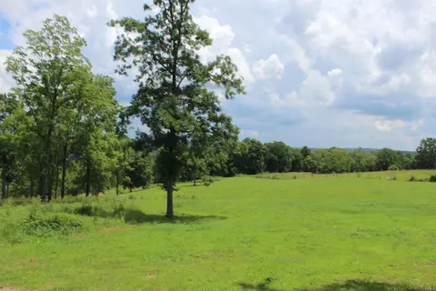 918 Bowith Holw, Marshall, AR 72650 photo 46