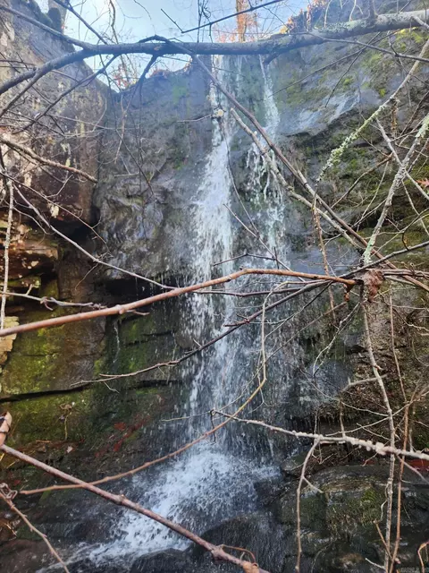 918 Bowith Holw, Marshall, AR 72650 photo 37