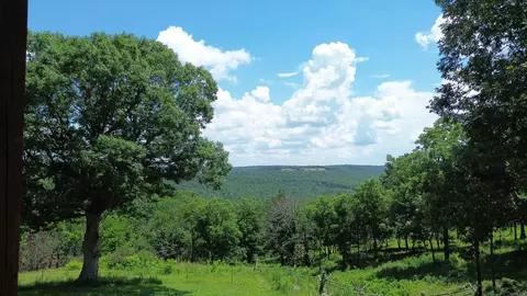 918 Bowith Holw, Marshall, AR 72650 photo 34