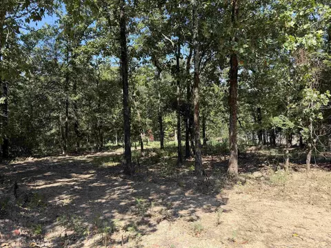 88 Fuller Rd, Conway, AR 72032 photo 3