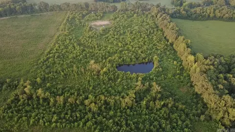 447 Polk Road 32, Cove, AR 71937