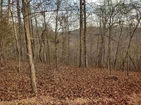 0 Geier Rd, Mountain View, AR 72560 photo 18