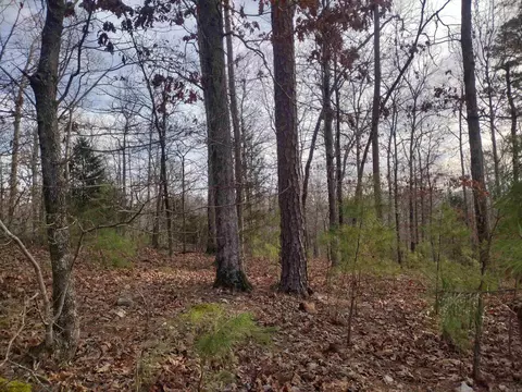 0 Geier Rd, Mountain View, AR 72560 photo 16