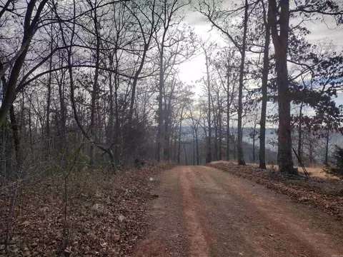 0 Geier Rd, Mountain View, AR 72560 photo 5