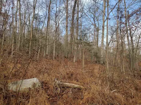 0 Geier Rd, Mountain View, AR 72560 photo 10