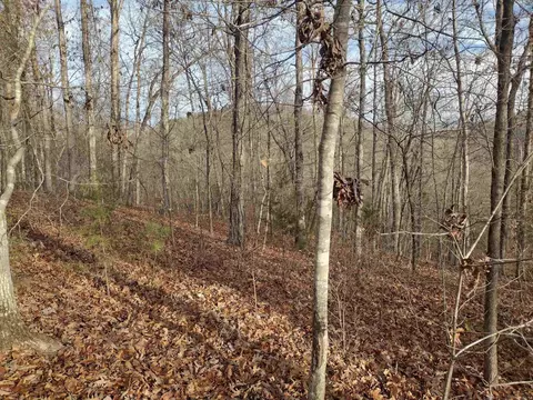 0 Geier Rd, Mountain View, AR 72560 photo 12