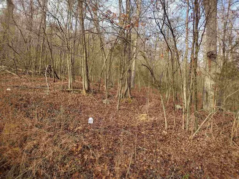0 Geier Rd, Mountain View, AR 72560 photo 9