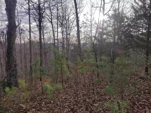0 Geier Rd, Mountain View, AR 72560 photo 17