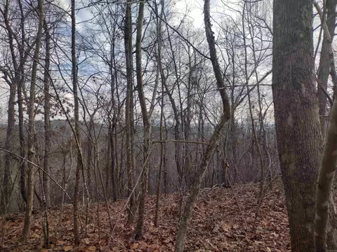 0 Geier Rd, Mountain View, AR 72560 photo 4