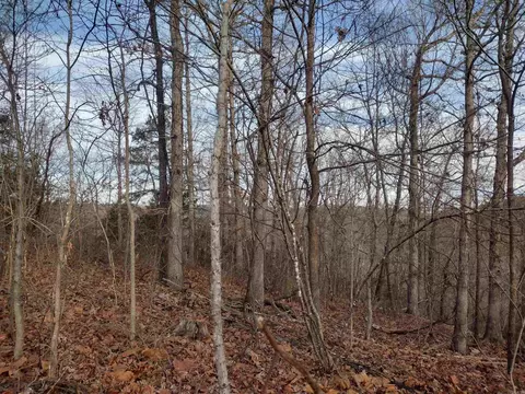 0 Geier Rd, Mountain View, AR 72560 photo 21