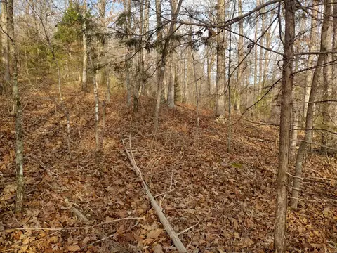 0 Geier Rd, Mountain View, AR 72560 photo 15