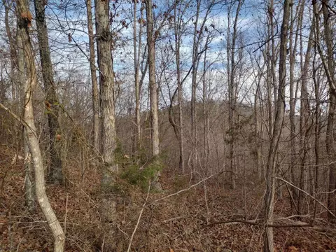 0 Geier Rd, Mountain View, AR 72560 photo 20