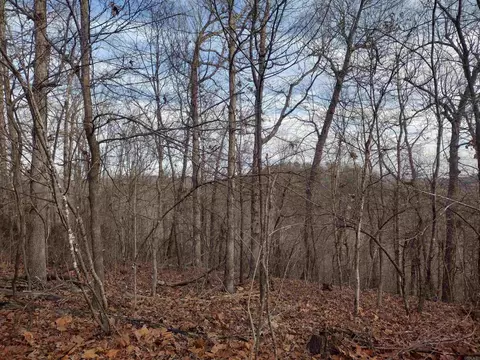 0 Geier Rd, Mountain View, AR 72560 photo 22
