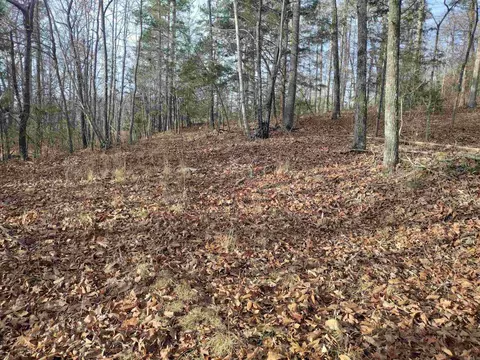 0 Geier Rd, Mountain View, AR 72560 photo 11