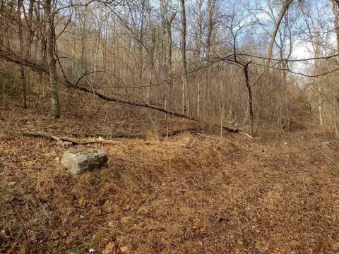 0 Geier Rd, Mountain View, AR 72560 photo 8
