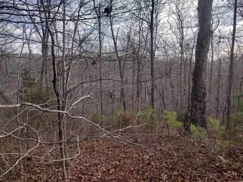 0 Geier Rd, Mountain View, AR 72560 photo 3