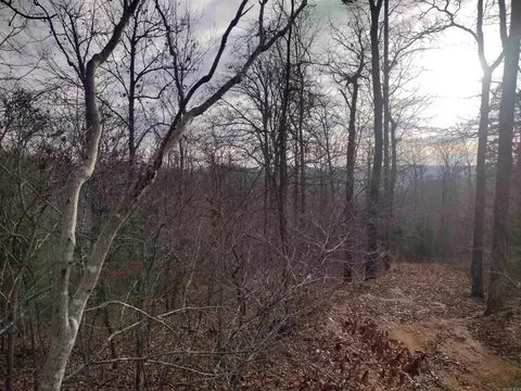 0 Geier Rd, Mountain View, AR 72560 photo 19