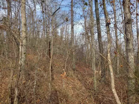 0 Geier Rd, Mountain View, AR 72560 photo 6